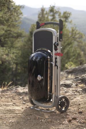 9010079 - Weber Traveler-Black