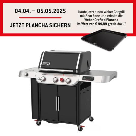 35610079 - Weber Genesis EX-335 Black