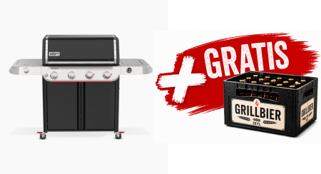 1501258 - Weber Genesis E-435W