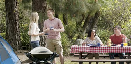 50010379_1 - Weber Q 1000 Gasgrill (Schwarz) mit Stand